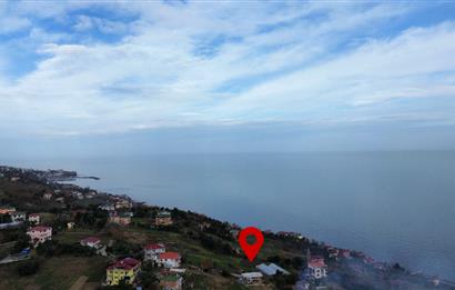 M21 TEAM'den AKÇAABAT SALACIK'ta ARSA