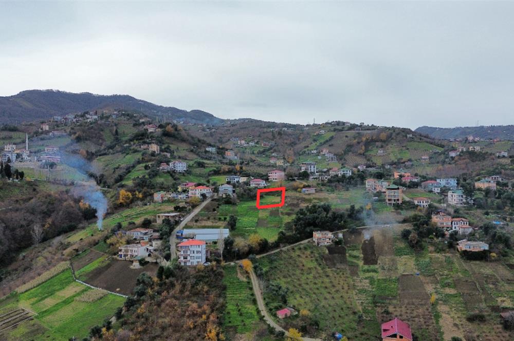 M21 TEAM'den İMARLI YATIRIMLIK ARSA