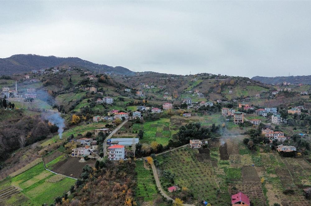 M21 TEAM'den AKÇAABAT SALACIK'ta ARSA