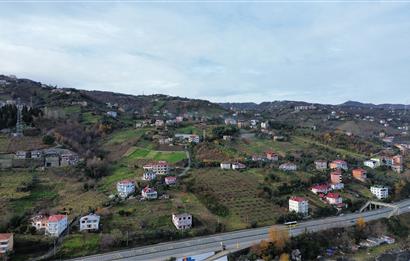 M21 TEAM'DEN SALACIK-AKÇAABAT'TA SATILIK ARAZİ