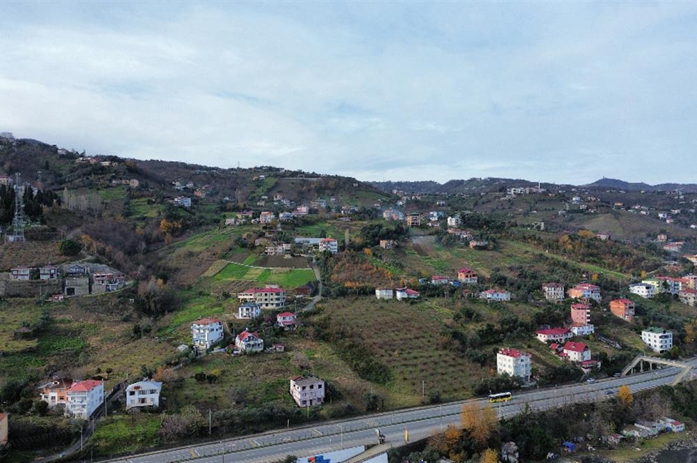 M21 TEAM'DEN SALACIK-AKÇAABAT'TA SATILIK ARAZİ