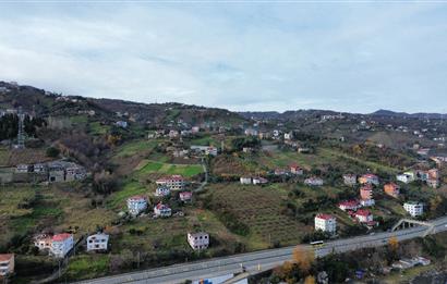 M21 TEAM'DEN SALACIK-AKÇAABAT'TA SATILIK ARAZİ