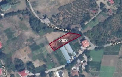 M21 TEAM'den AKÇAABAT SALACIK'ta ARSA