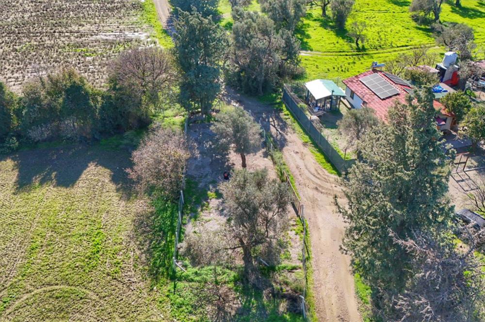 DATÇA KIZLANDA YOLA CEPHELİ, TINY HOUSE UYGUN, DÜZ ZEMİN TARLA