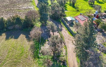 DATÇA KIZLANDA YOLA CEPHELİ, TINY HOUSE UYGUN, DÜZ ZEMİN TARLA