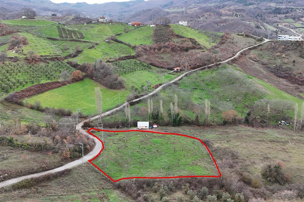  C21 Cius; Hamidiye Köyünde  Yola Cephe 2839 m2 Su ve Elektriği Olan Tarla