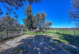 DATÇA KIZLANDA YOLA CEPHELİ, TINY HOUSE UYGUN, DÜZ ZEMİN TARLA - 6 - 32141