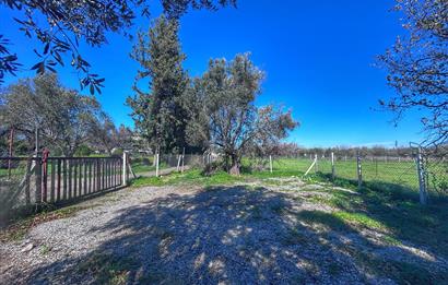 DATÇA KIZLANDA YOLA CEPHELİ, TINY HOUSE UYGUN, DÜZ ZEMİN TARLA