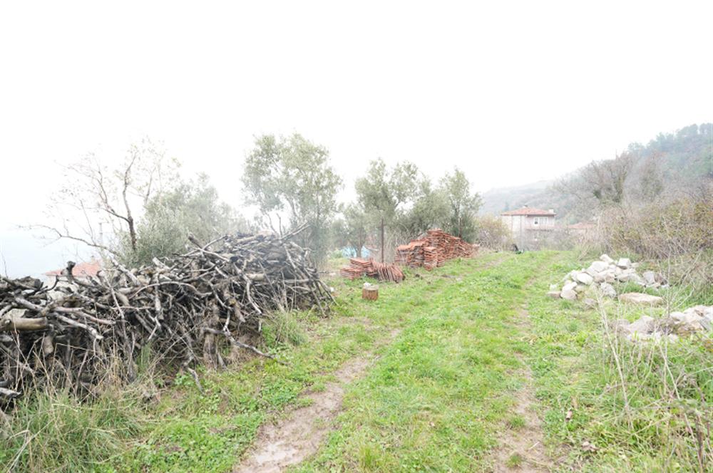 C21 Cius; Katırlı da Köy İçi İmarlı Satılık Arsa