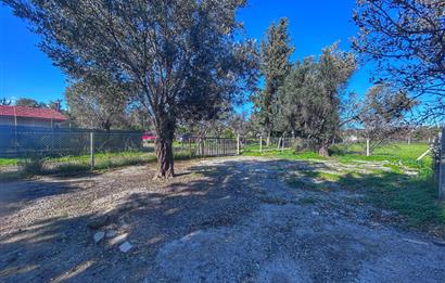 DATÇA KIZLANDA YOLA CEPHELİ, TINY HOUSE UYGUN, DÜZ ZEMİN TARLA