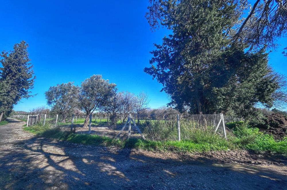 DATÇA KIZLANDA YOLA CEPHELİ, TINY HOUSE UYGUN, DÜZ ZEMİN TARLA