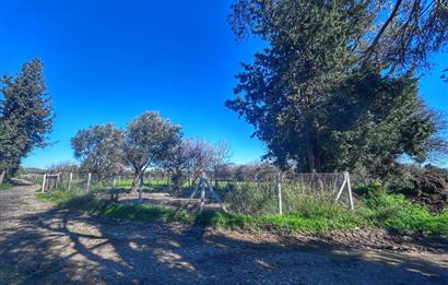 DATÇA KIZLANDA YOLA CEPHELİ, TINY HOUSE UYGUN, DÜZ ZEMİN TARLA