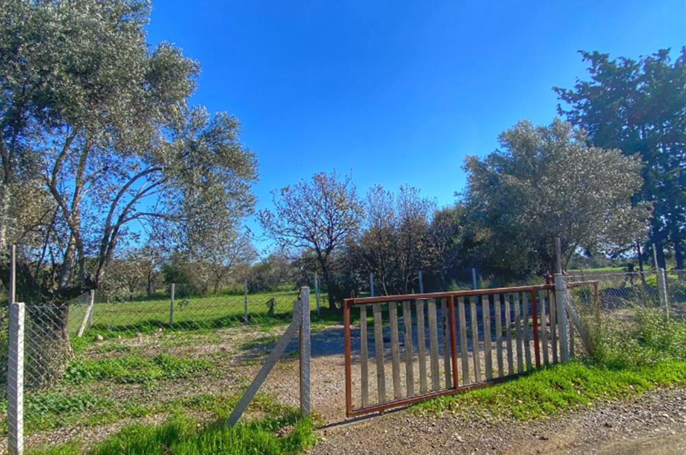 DATÇA KIZLANDA YOLA CEPHELİ, TINY HOUSE UYGUN, DÜZ ZEMİN TARLA