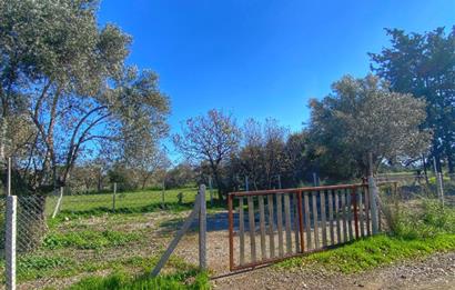 DATÇA KIZLANDA YOLA CEPHELİ, TINY HOUSE UYGUN, DÜZ ZEMİN TARLA