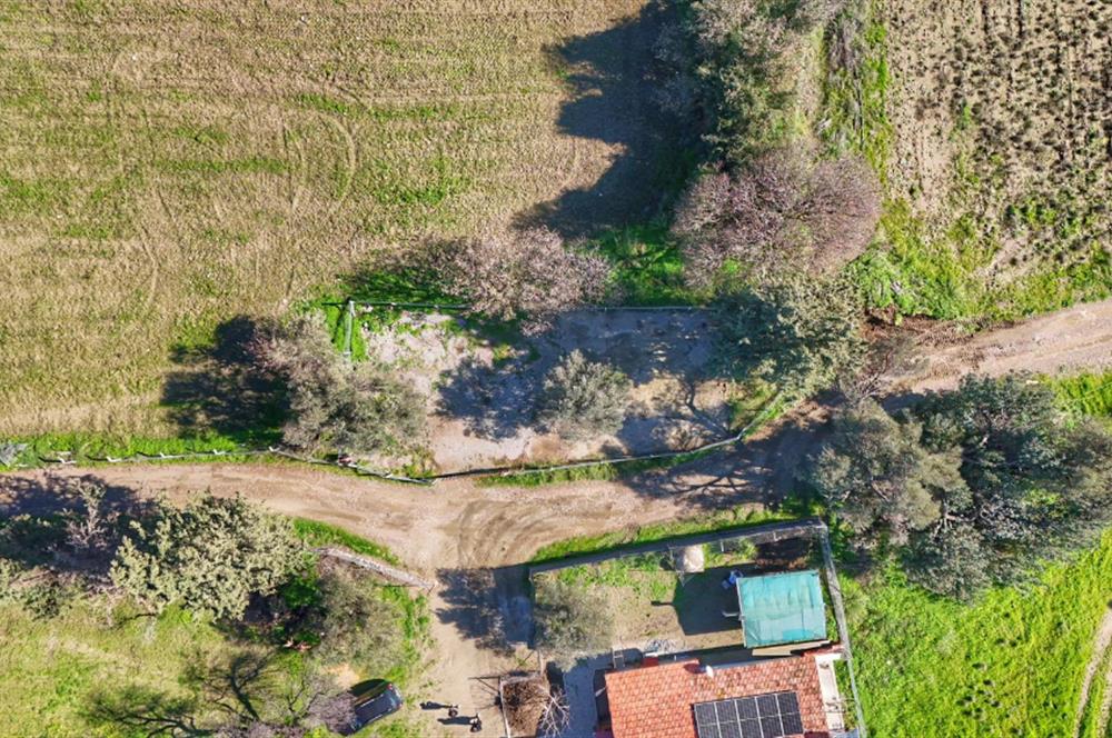 DATÇA KIZLANDA YOLA CEPHELİ, TINY HOUSE UYGUN, DÜZ ZEMİN TARLA