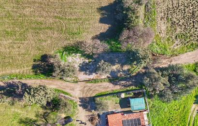 DATÇA KIZLANDA YOLA CEPHELİ, TINY HOUSE UYGUN, DÜZ ZEMİN TARLA