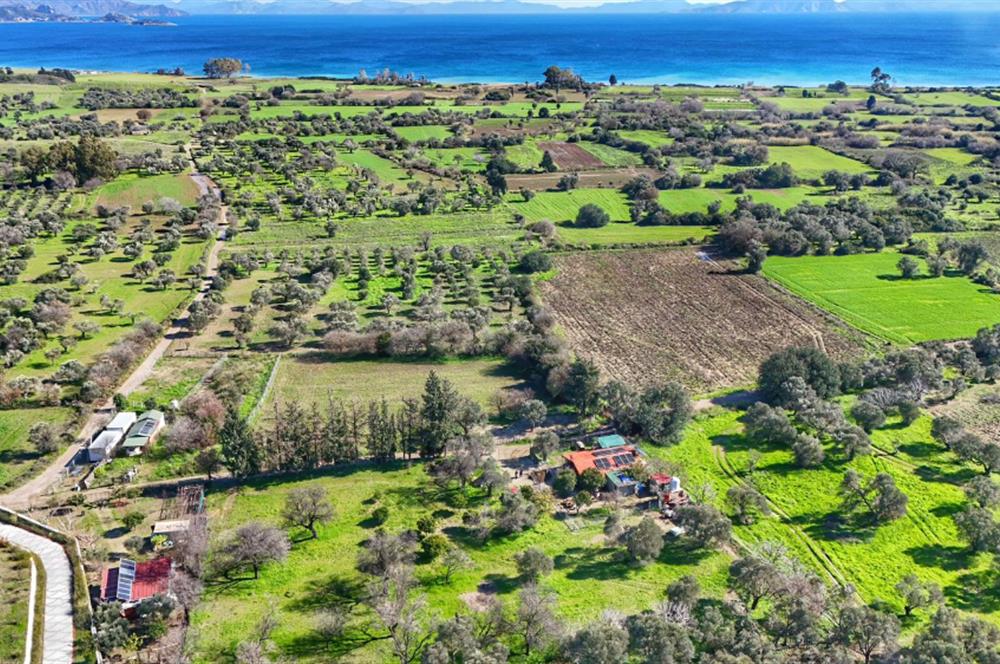 DATÇA KIZLANDA YOLA CEPHELİ, TINY HOUSE UYGUN, DÜZ ZEMİN TARLA