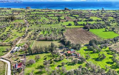 DATÇA KIZLANDA YOLA CEPHELİ, TINY HOUSE UYGUN, DÜZ ZEMİN TARLA
