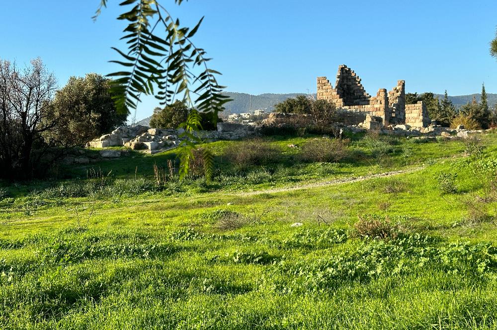 Eskiçeşme'de Geniş Bahçeli ve Havuzlu Satılık Villa