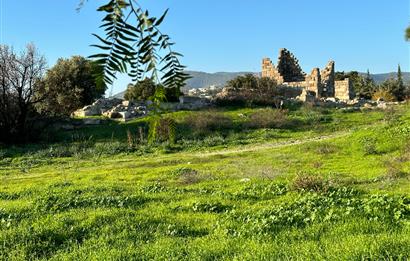 Eskiçeşme'de Geniş Bahçeli ve Havuzlu Satılık Villa