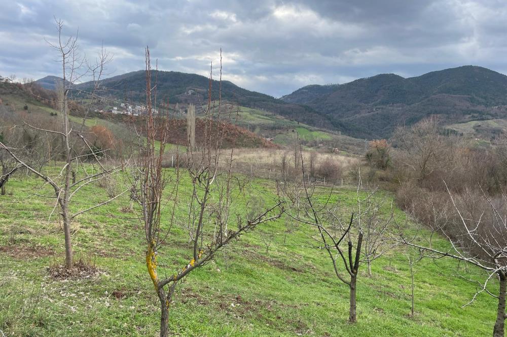  C21 Cius; Hamidiye Köyünde  Yola Cephe 2839 m2 Su ve Elektriği Olan Tarla
