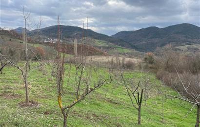  C21 Cius; Hamidiye Köyünde  Yola Cephe 2839 m2 Su ve Elektriği Olan Tarla