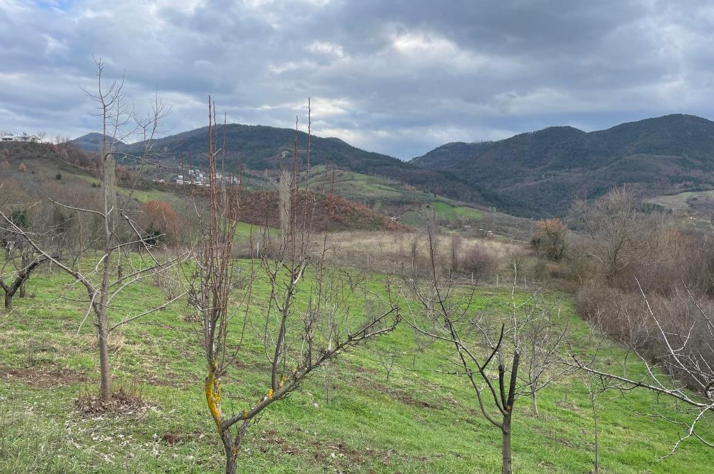  C21 Cius; Hamidiye Köyünde  Yola Cephe 2839 m2 Su ve Elektriği Olan Tarla