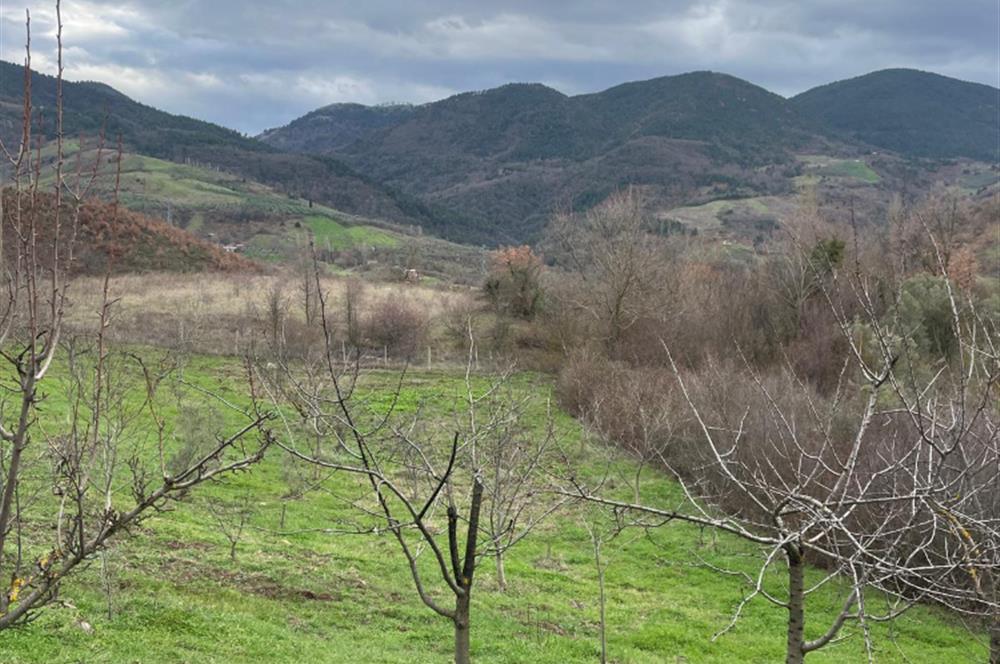  C21 Cius; Hamidiye Köyünde  Yola Cephe 2839 m2 Su ve Elektriği Olan Tarla