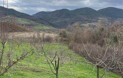  C21 Cius; Hamidiye Köyünde  Yola Cephe 2839 m2 Su ve Elektriği Olan Tarla