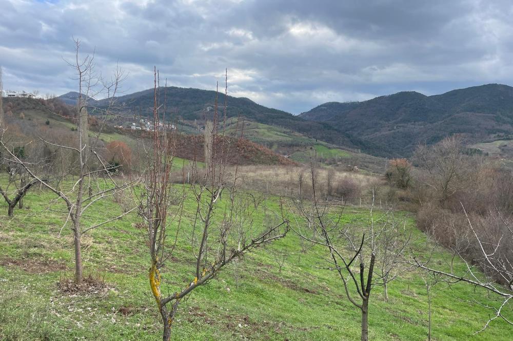  C21 Cius; Hamidiye Köyünde  Yola Cephe 2839 m2 Su ve Elektriği Olan Tarla