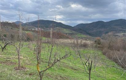  C21 Cius; Hamidiye Köyünde  Yola Cephe 2839 m2 Su ve Elektriği Olan Tarla