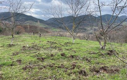  C21 Cius; Hamidiye Köyünde  Yola Cephe 2839 m2 Su ve Elektriği Olan Tarla