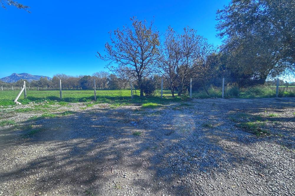 DATÇA KIZLANDA YOLA CEPHELİ, TINY HOUSE UYGUN, DÜZ ZEMİN TARLA