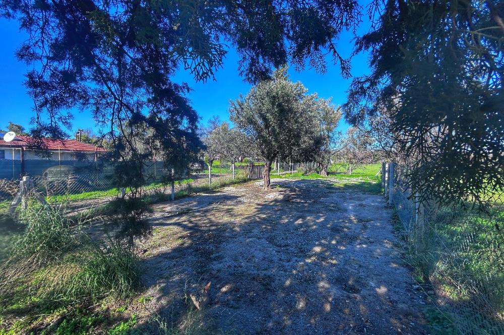 DATÇA KIZLANDA YOLA CEPHELİ, TINY HOUSE UYGUN, DÜZ ZEMİN TARLA