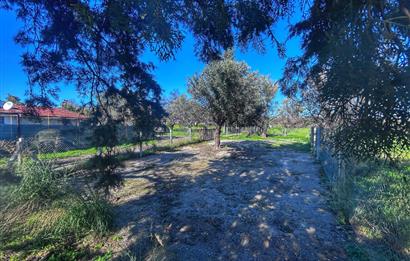 DATÇA KIZLANDA YOLA CEPHELİ, TINY HOUSE UYGUN, DÜZ ZEMİN TARLA