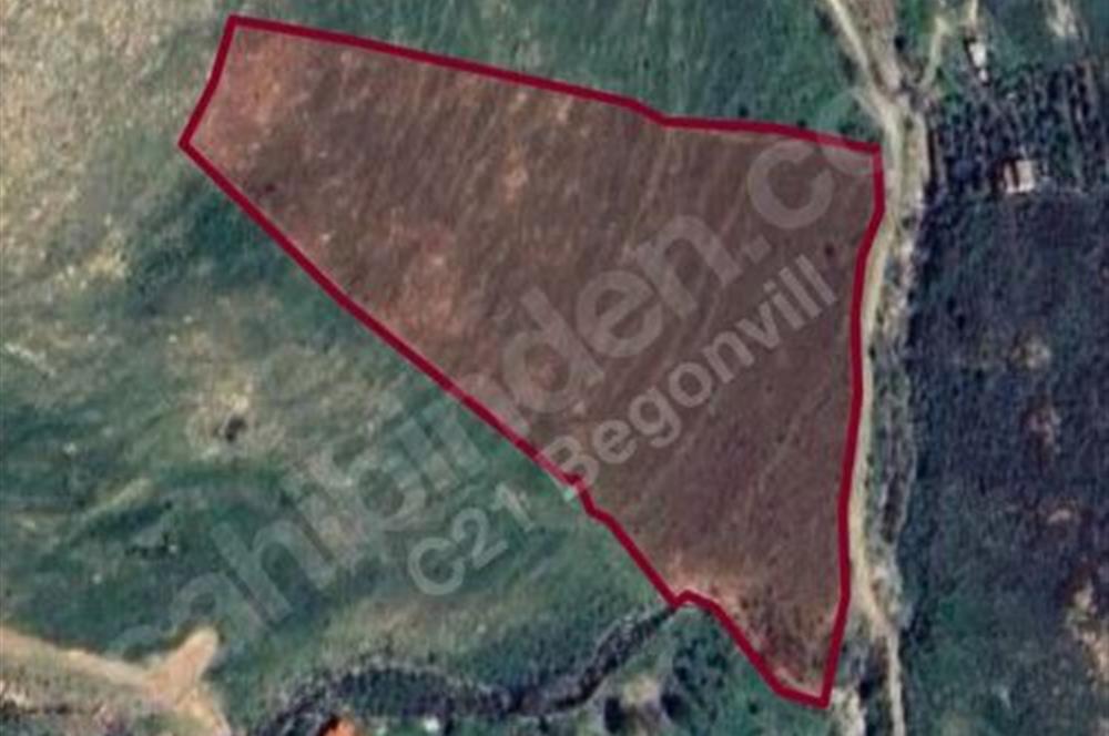 Bodrum Gümüşlük Dereköy Yatırım Amaçlı Kooperatif Satılık Tarla