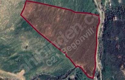 Bodrum Gümüşlük Dereköy Yatırım Amaçlı Kooperatif Satılık Tarla