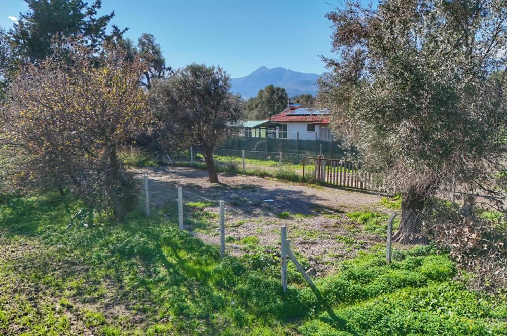 DATÇA KIZLANDA YOLA CEPHELİ, TINY HOUSE UYGUN, DÜZ ZEMİN TARLA