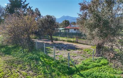 DATÇA KIZLANDA YOLA CEPHELİ, TINY HOUSE UYGUN, DÜZ ZEMİN TARLA