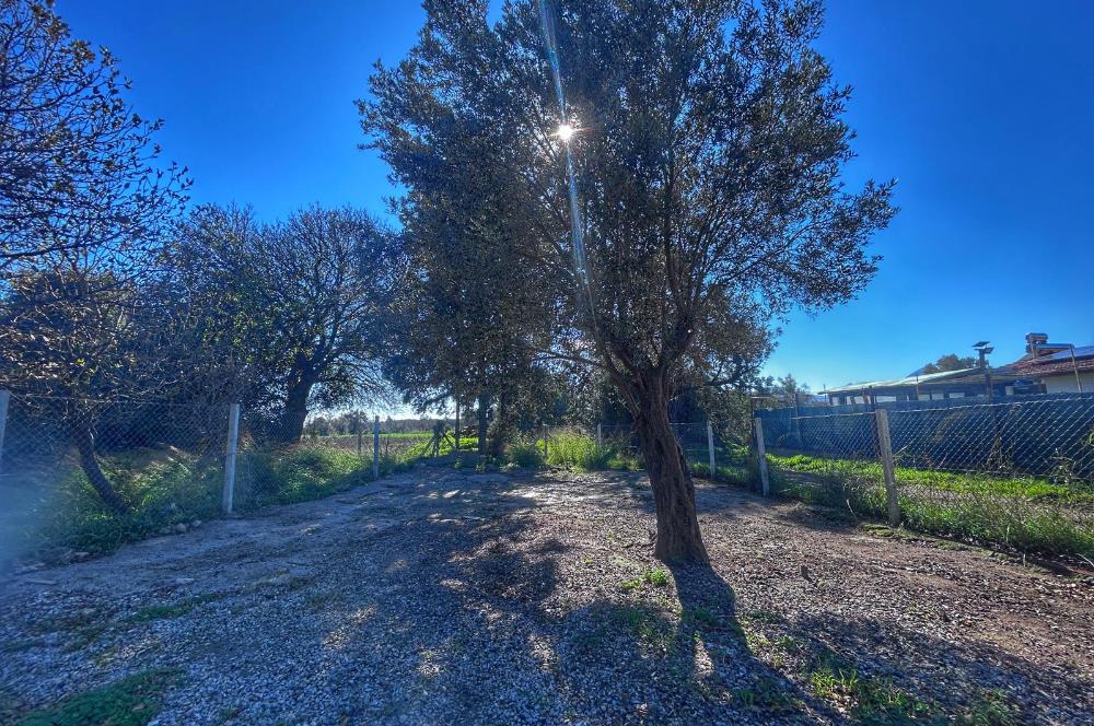 DATÇA KIZLANDA YOLA CEPHELİ, TINY HOUSE UYGUN, DÜZ ZEMİN TARLA