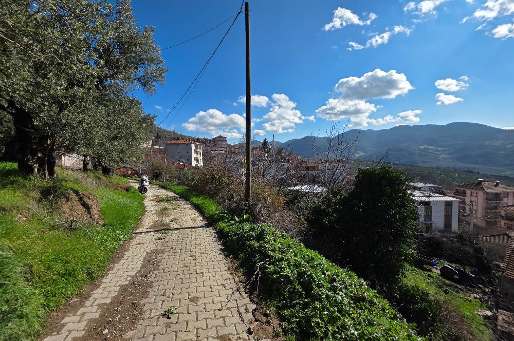 C21 Cius; Katırlı Köyiçi İmarlı Yola Cephe Satılık 691m2 Zeytinlik