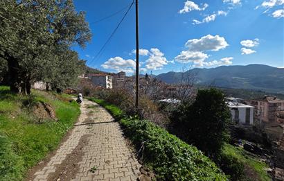 C21 Cius; Katırlı Köyiçi İmarlı Yola Cephe Satılık 691m2 Zeytinlik