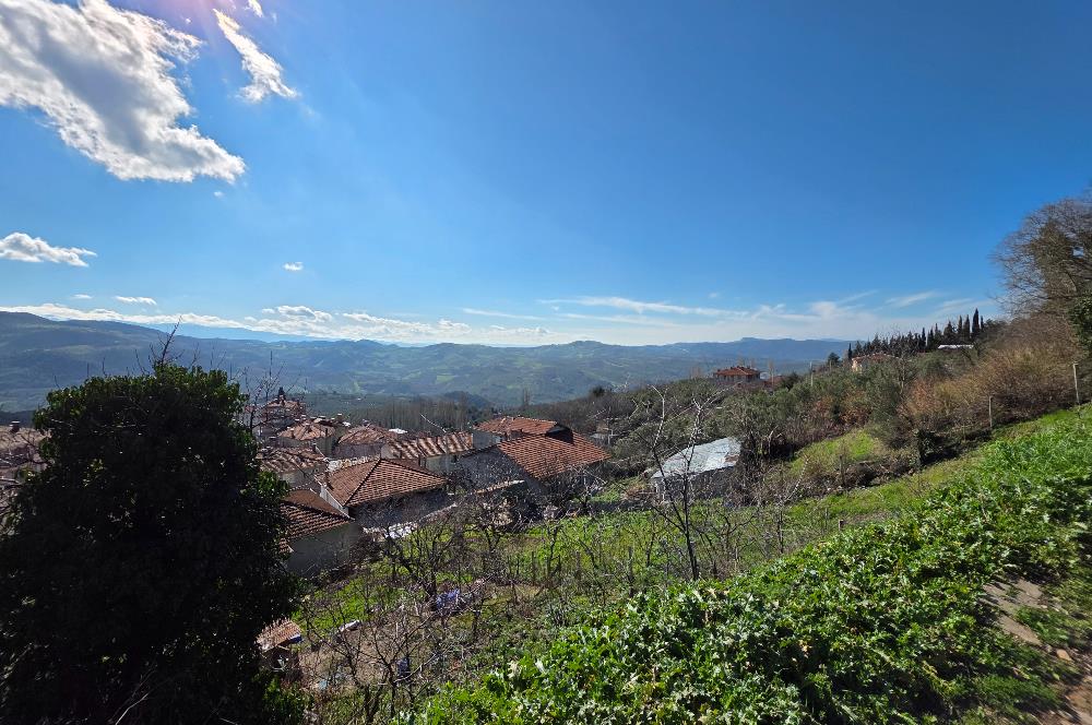 C21 Cius; Katırlı Köyiçi İmarlı Yola Cephe Satılık 691m2 Zeytinlik