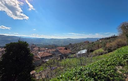 C21 Cius; Katırlı Köyiçi İmarlı Yola Cephe Satılık 691m2 Zeytinlik