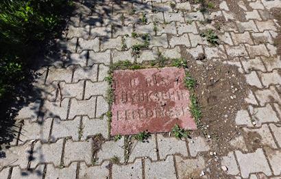 C21 Cius; Katırlı Köyiçi İmarlı Yola Cephe Satılık 691m2 Zeytinlik