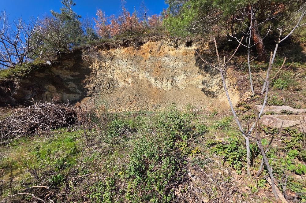 C21 Cius; Katırlı Köyiçi İmarlı Yola Cephe Satılık 691m2 Zeytinlik