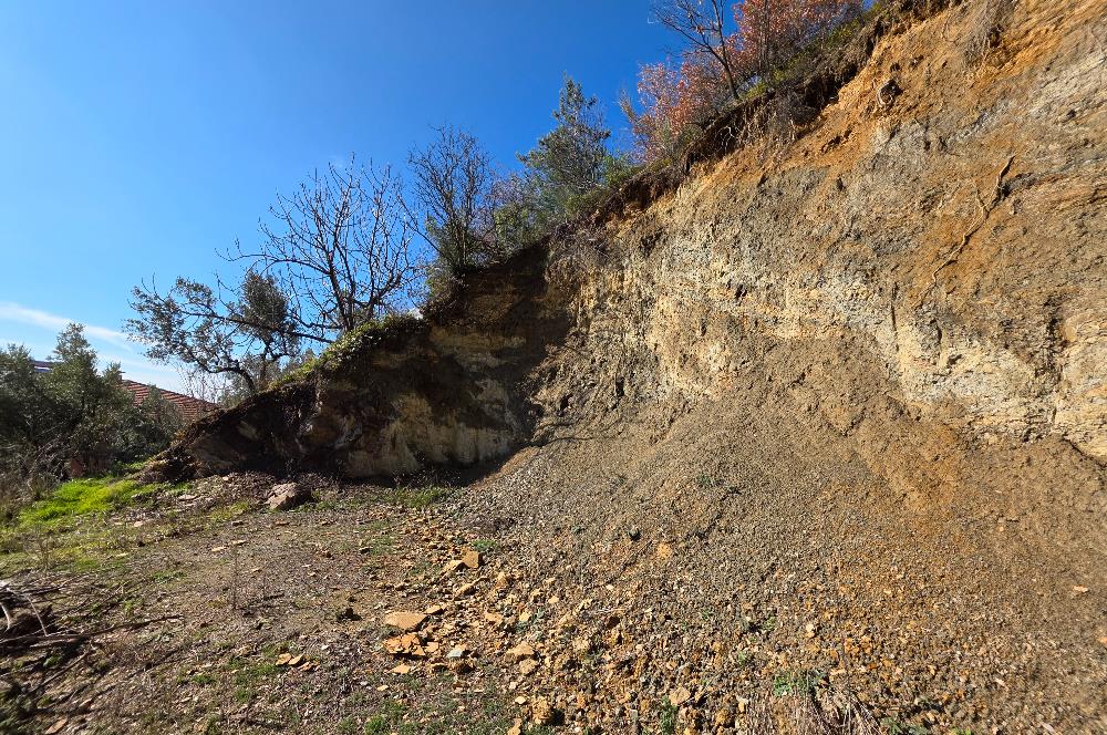 C21 Cius; Katırlı Köyiçi İmarlı Yola Cephe Satılık 691m2 Zeytinlik