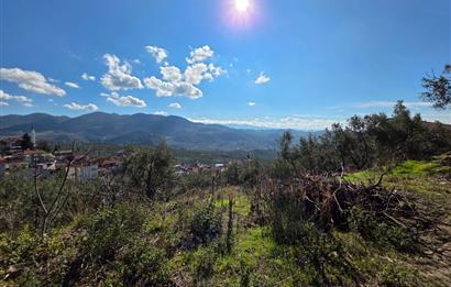 C21 Cius; Katırlı Köyiçi İmarlı Yola Cephe Satılık 691m2 Zeytinlik