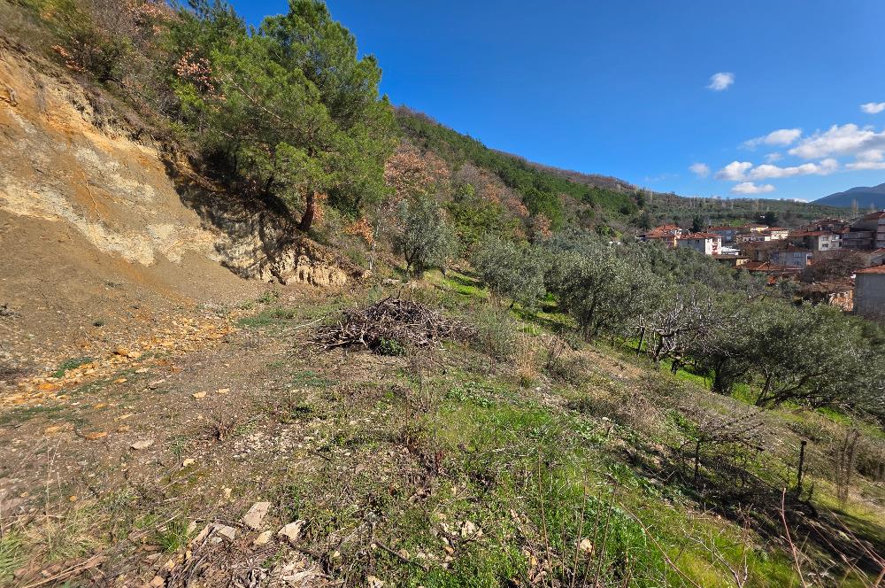 C21 Cius; Katırlı Köyiçi İmarlı Yola Cephe Satılık 691m2 Zeytinlik