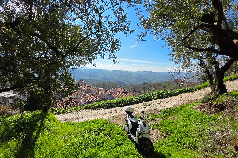 C21 Cius; Katırlı Köyiçi İmarlı Yola Cephe Satılık 691m2 Zeytinlik